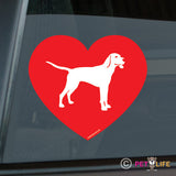 Love Coonhound Sticker