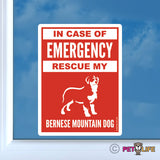 In Case of Emergency Rescue My Bernese Mountain Dog Sticker