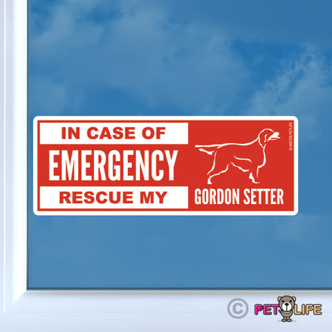 In Case of Emergency Rescue My Gordon Setter Sticker