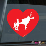 Love Rat Terrier Sticker