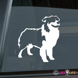 Australian Shepherd Sticker