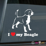 I Love My Beagle Sticker