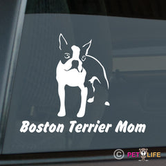 Boston Terrier