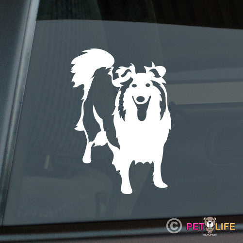 Sheltie Sticker