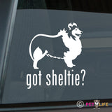 Got Sheltieprofile    Sticker