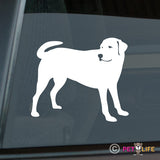 Labrador Sticker