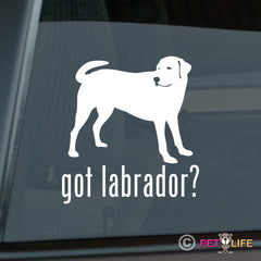 Labrador