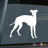 Italian Greyhound Sticker