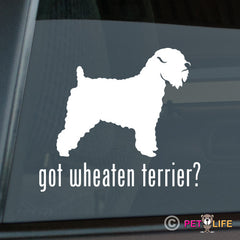 Wheaten Terrier