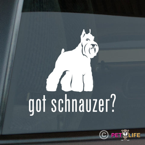 Got Schnauzer Sticker