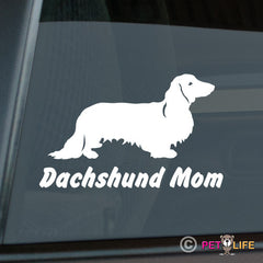 Dachshund