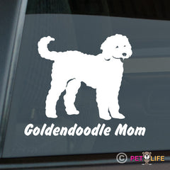 Goldendoodle