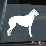 Scottish Deerhound Sticker