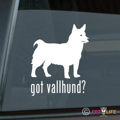 Swedish Vallhund