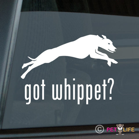 Got Whippet Sticker