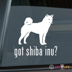 Shiba Inu