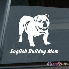 English Bulldog