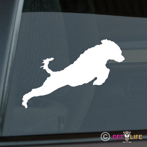 Portuguese Water Dog Sticker