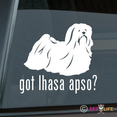 Lhasa Apso