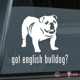 Got English Bulldog Sticker