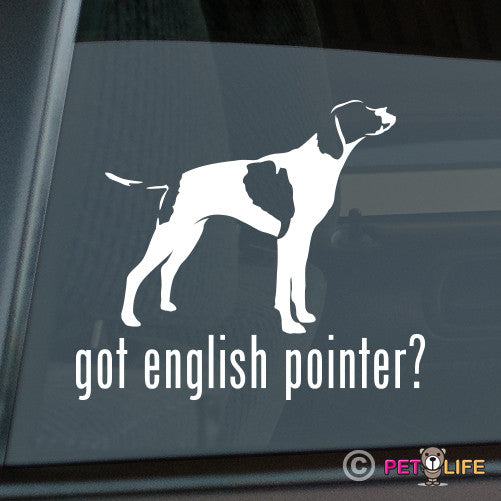 Got English Pointer Sticker