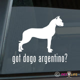 Got Dogo Argentino Sticker