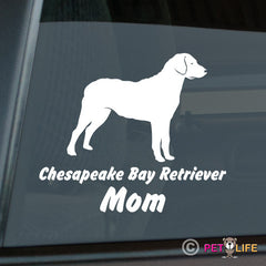 Chesapeake Bay Retriever