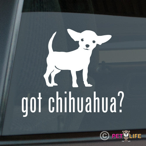 Got Chihuahua Sticker