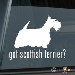 Scottish Terrier