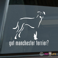 Manchester Terrier