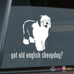 Old English Sheepdog