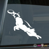 Border Collie Frisbee Disc Dog v2 Sticker