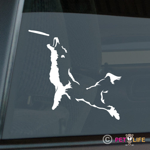 Border Collie Frisbee Disc Dog v3 Sticker