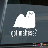 Got Maltese Sticker