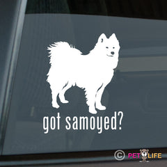 Samoyed