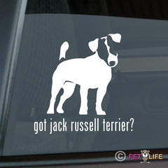 Jack Russell Terrier