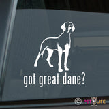 Got Great Dane Sticker