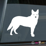 Australian Cattle Dog Sticker