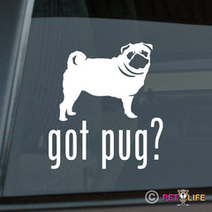 Pug