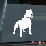 Pit Bull Sticker