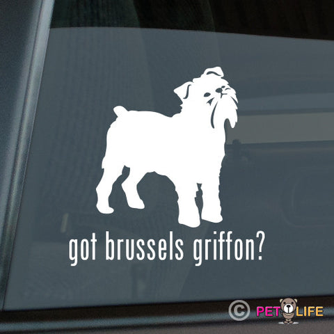 Got Brussels Griffon Sticker