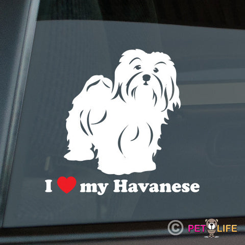 I Love My Havanese Sticker