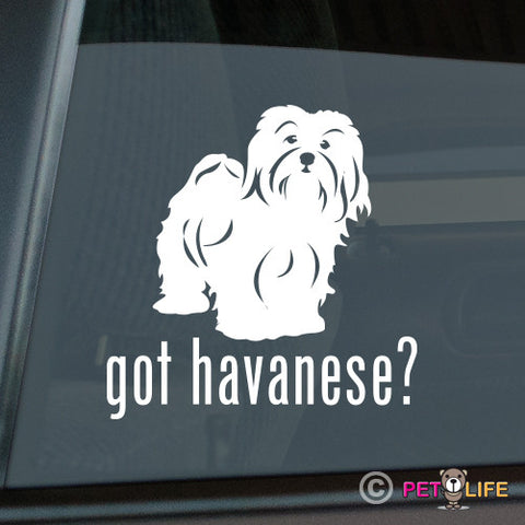 Got Havanese Sticker