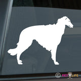 Borzoi Sticker