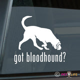 Got Bloodhound Sticker