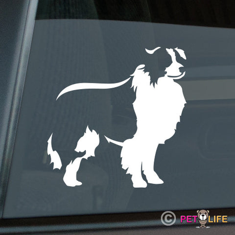 Border Collie Sticker