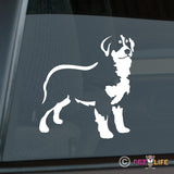 Bernese Mountain Dog Sticker