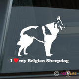 I Love My Belgian Sheepdog Sticker