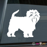 Affenpinscher Sticker