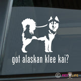 Got Alaskan Klee Kai Sticker